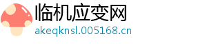 临机应变网